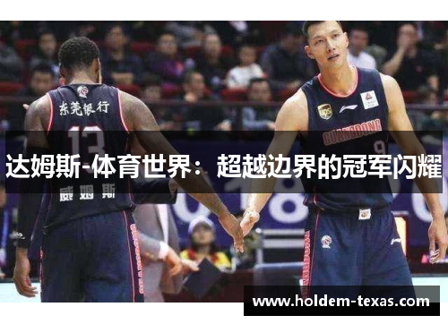 达姆斯-体育世界：超越边界的冠军闪耀